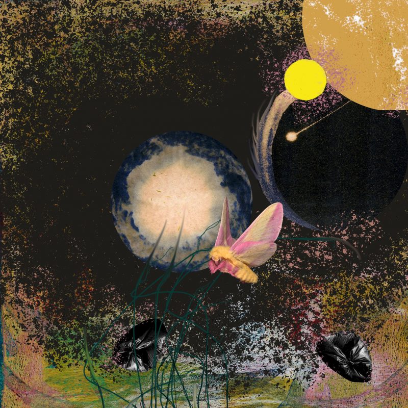 An abstract mixed media piece of art with a moth and planets