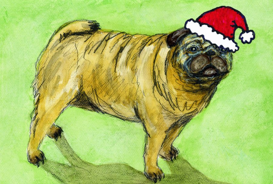 A cuddly pug wearing a Santa Hat Christmas Card by Brighton Artist Troy Ohlson