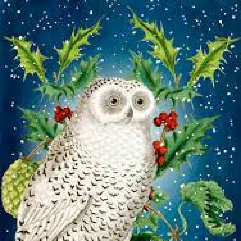 owl Christmas card
