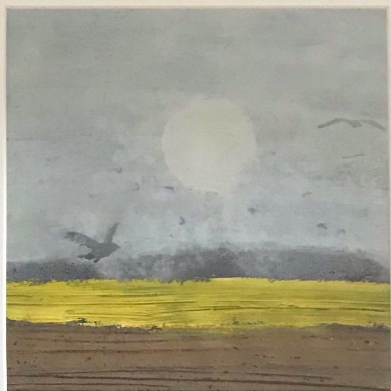 Against a grey dusky sky is a muted sun shining on yellow fields below. In the distant is a line of trees and from these flies a grey bird looking for something in the fields below. 