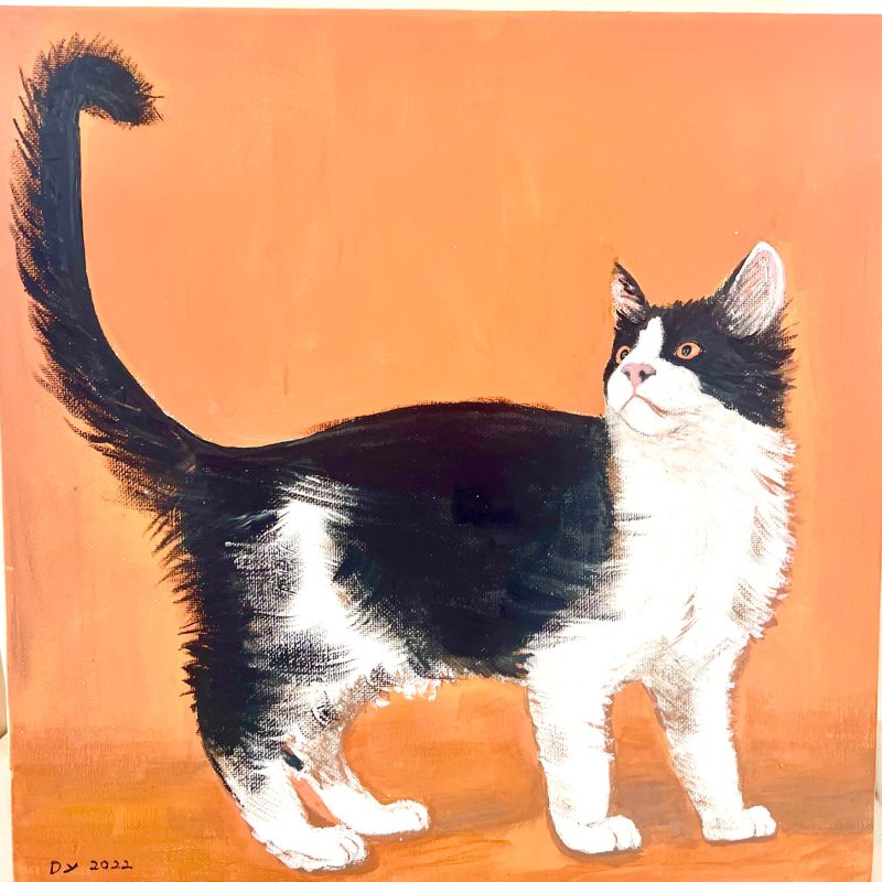 Black and white cat looks behind, perhaps at his curled tail. Cat stands in a bright orange background.