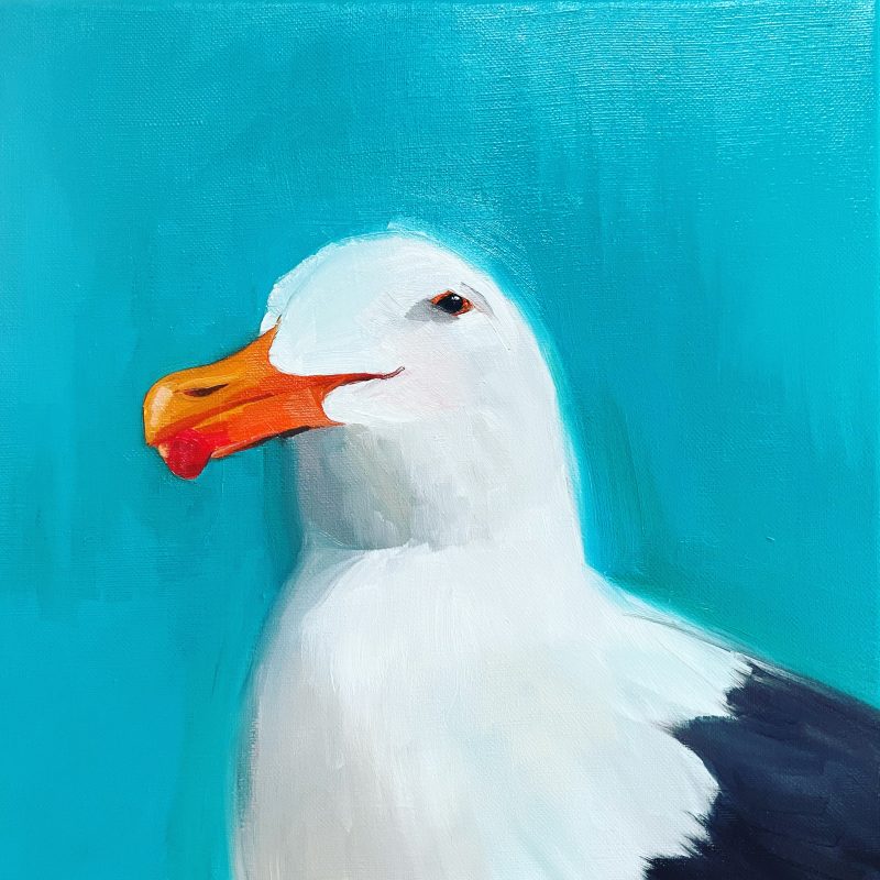 Cedric the Seagull. Witty seagull portrait. Vivid blue background.