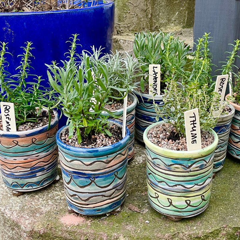 Stripey plant pots with herbs.