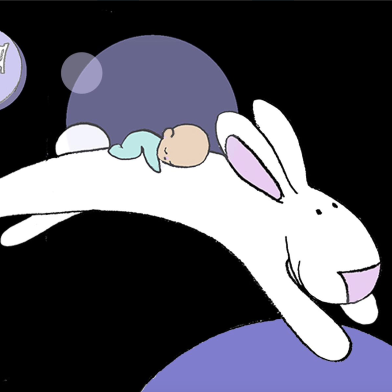 Illustration of a baby rabbit