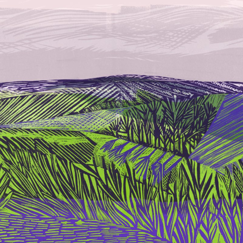 Limited edition digital lino print of Steyning Bowl, West Sussex. Printed on Fine white textured Innova, 315gsm paper. 
