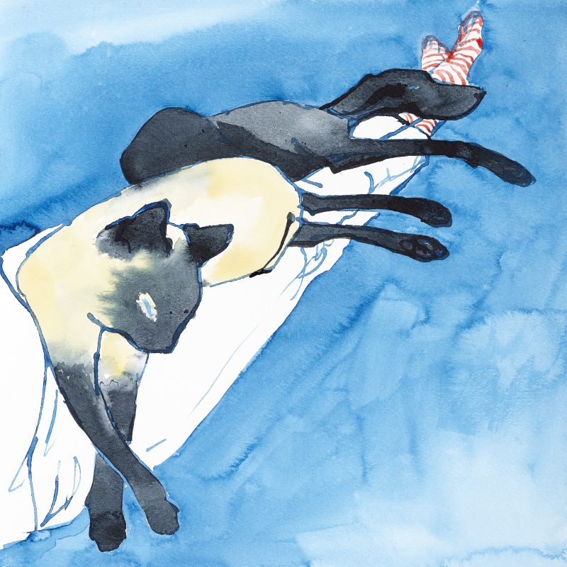 Ink painting of a cat and a dog lying across someone's legs. Lots of legs!