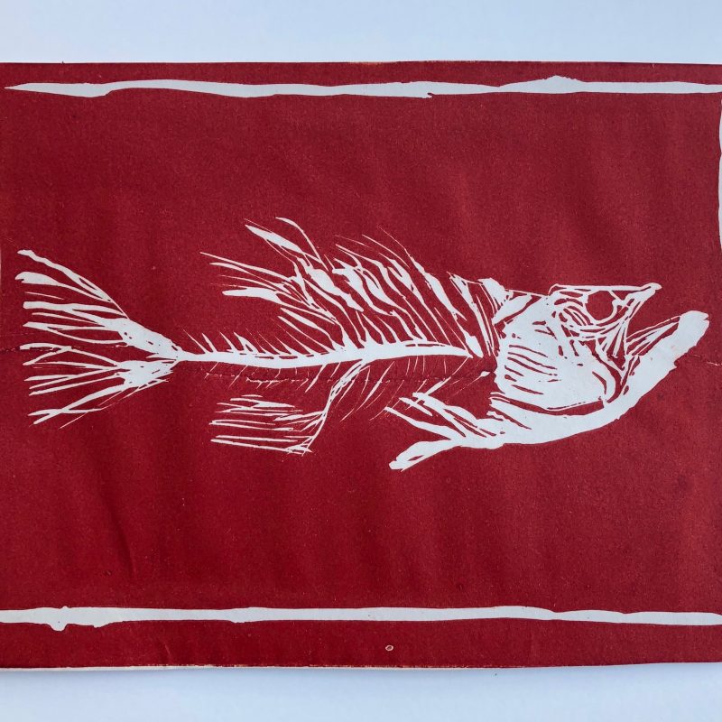 White fish skeleton cut out on a red background.