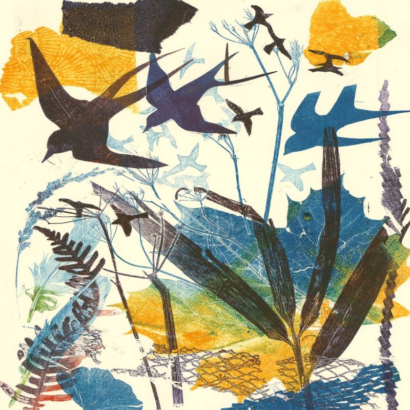 A colourful monoprint with paper stencil and natural forms.