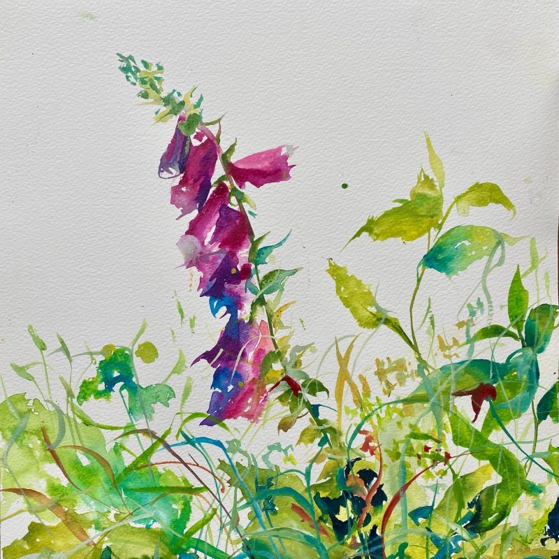A watercolour botanical painting of a pink fox glove surrounded by foliage