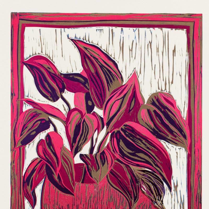 Pink lino cut of plant