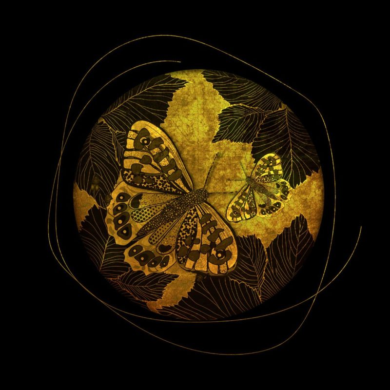 Butterfly in black and gold print