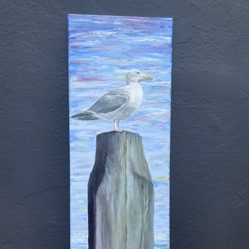 A seagull perched by the shore 