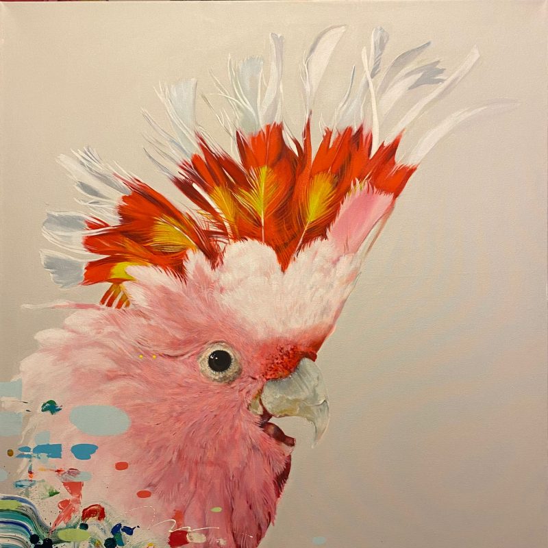 Acrylic on canvas painting, 91 x 102 cm, of a beautiful colourful bird.