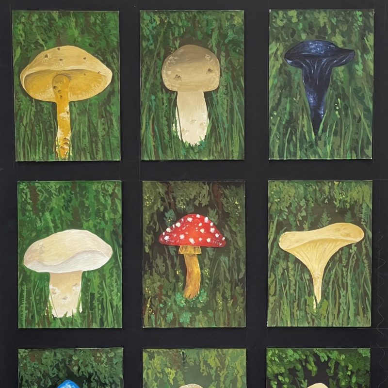 Nine individually painted mushroom displayed in a grid formation. Each mushroom is detailed and unique.