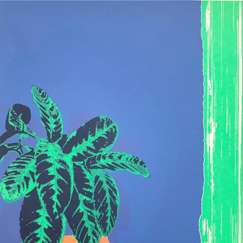 A screenprint of a variegated plant in a terracotta pot, vibrantly coloured green with a blue background