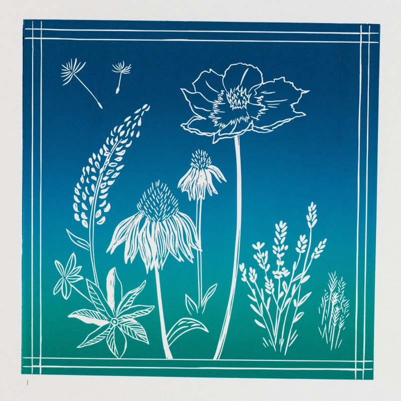 Blue linocut Print of white wild flowers on paper