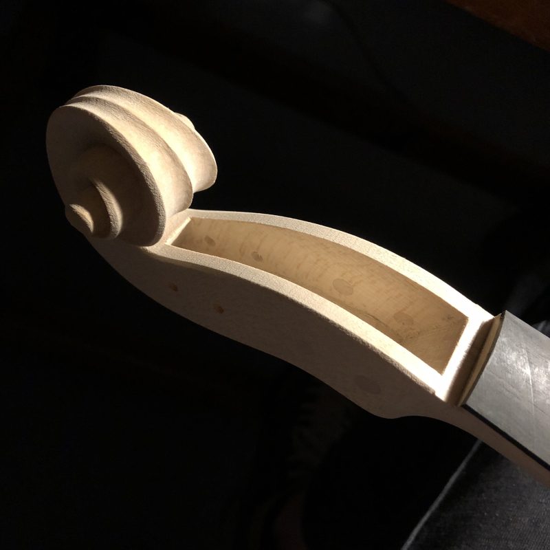 Violin scroll, white wood against a very dark background, showing the spiral in great contrast.
