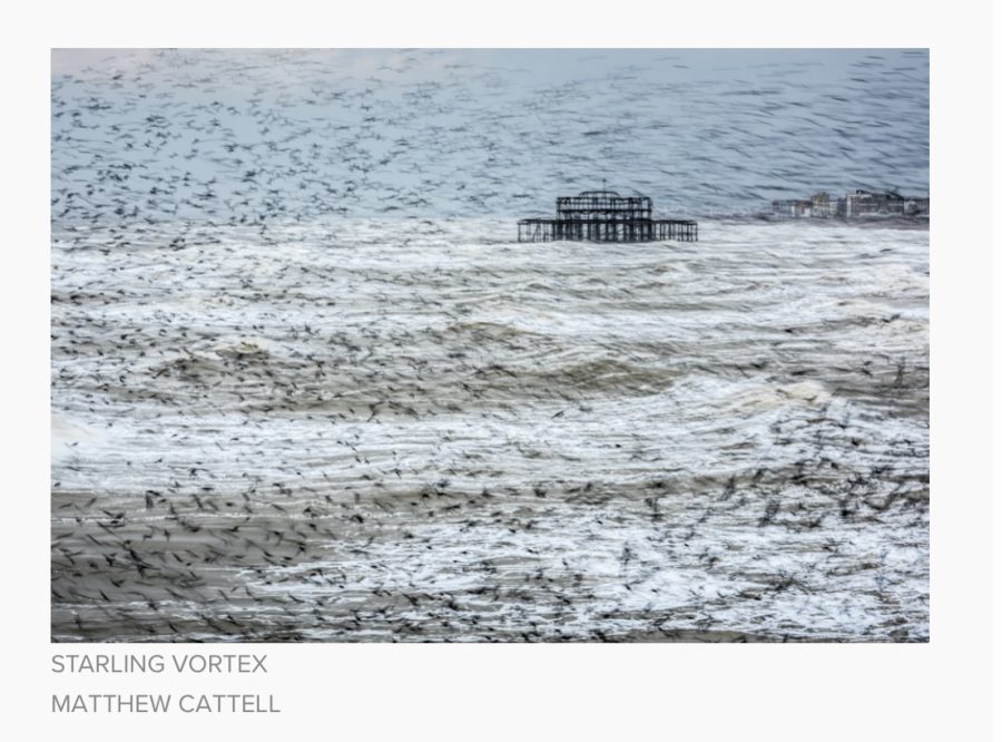 Award winning photograph  of Murmuration West Pier Brighton 