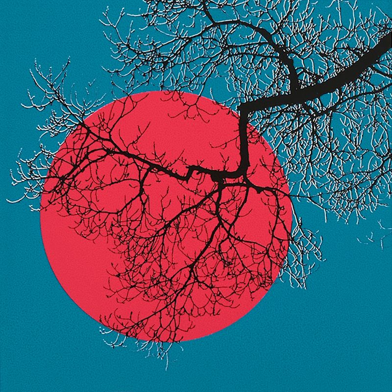 Screenprint showing silhouetted branches of a tree against a stylised red sun and jade green sky
