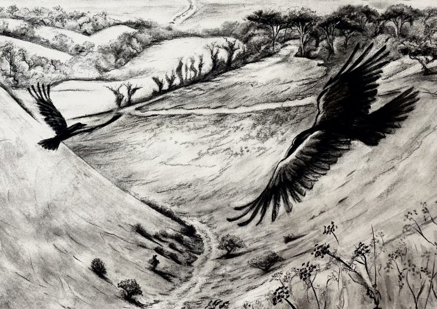 Charcoal of two crows flying over Devil's Dyke