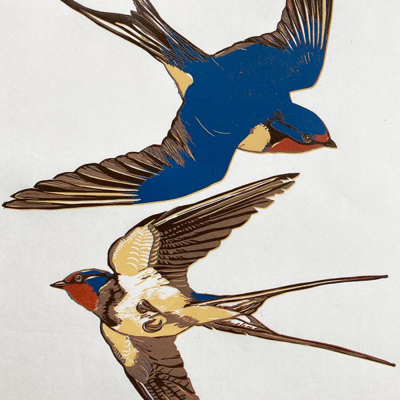 A lino print of 2 swallows colours are red, blue, yellow ochre and black on a white background