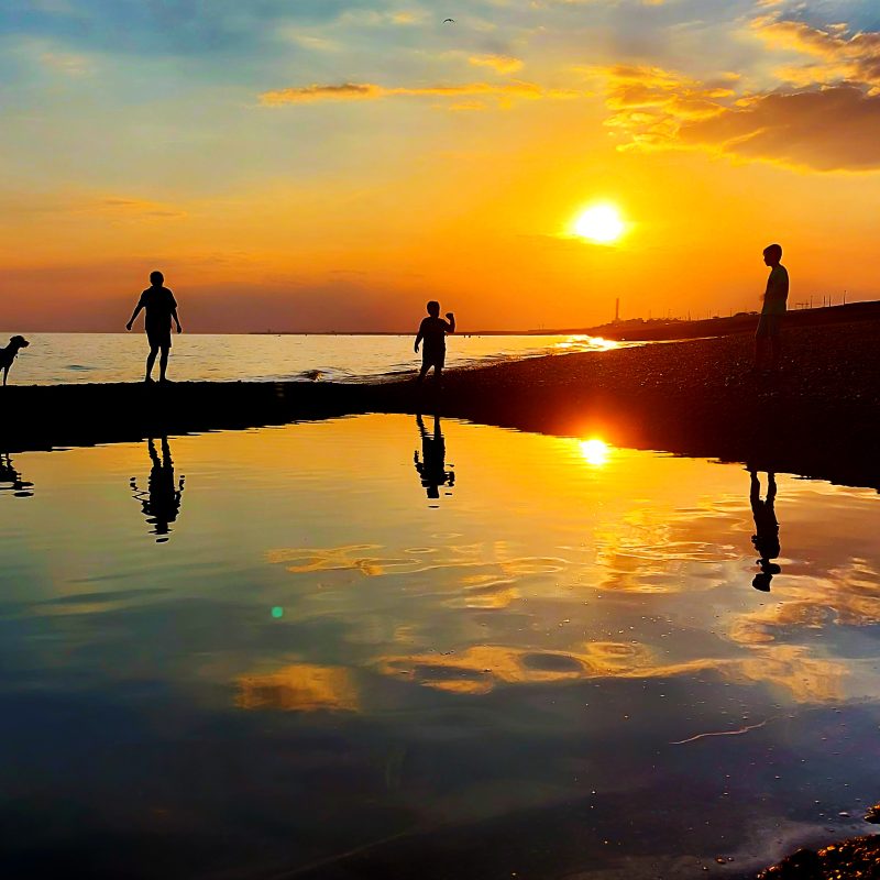 3 people + their dog on the shoreline at sunset, by a pool of water