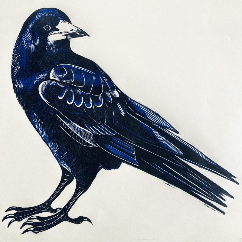 A linocut print of a rook bird