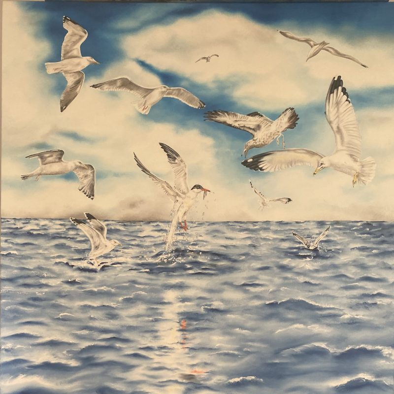 Gulls feeding above sea