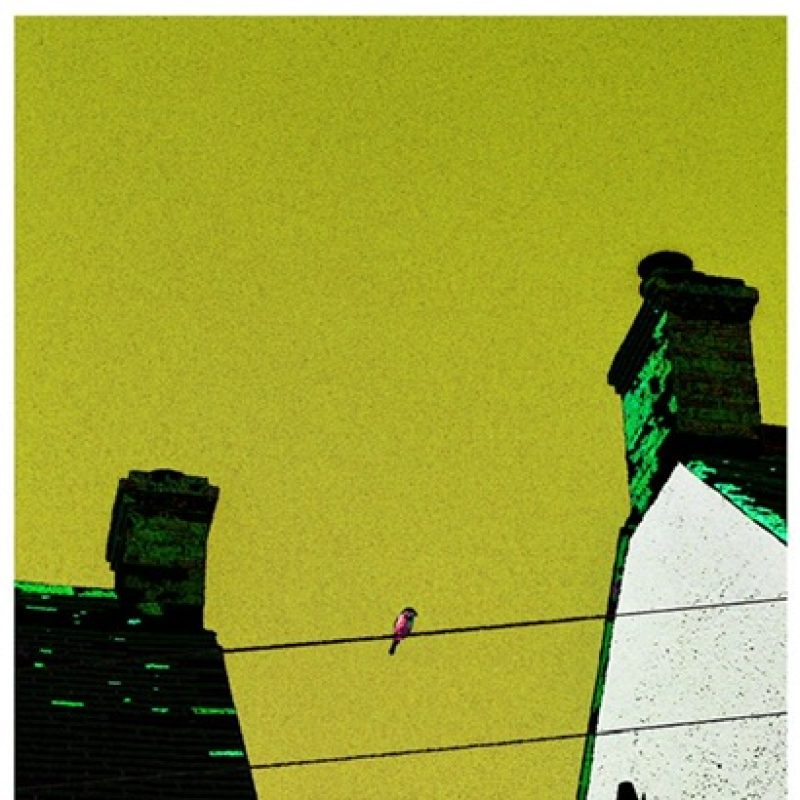 Like green sky and pink bird sits in a wire between two houses