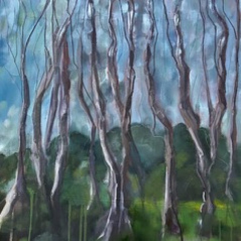 A large painting in oils in green and blues of a tangle of birch trees in the summer.