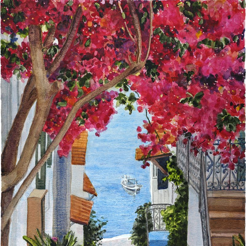 Steps to the sea with Bougainvillea