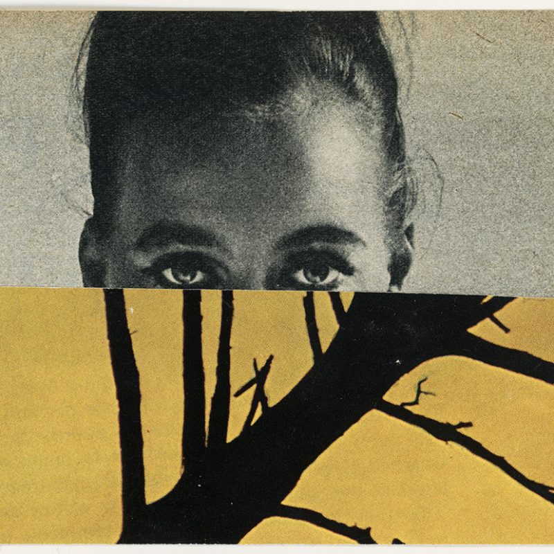 Collage of woman and tree 