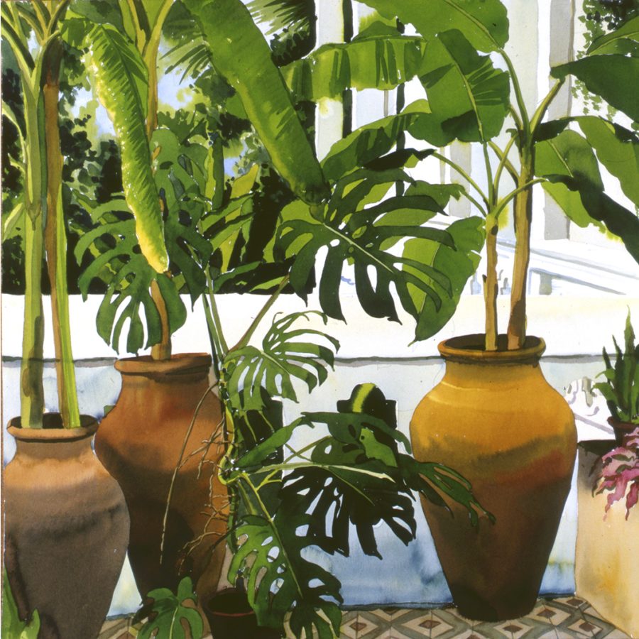 Large plant pots on a terrace