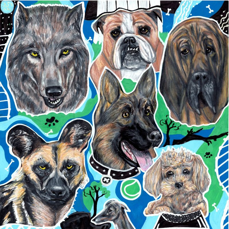 This image is a collection of various dog breeds. The illustration features a grey wolf, English bulldog, a bloodhound, African wild dog, German shepherd, toy poodle, red fox, greyhound, Dachshund. The background is blue and green . The image is colourful and vibrant, with each dog having its own unique personality and expression. There are also things associated with dogs such as a leash, tennis ball and paw print, tree and bones painted between the dogs. 
