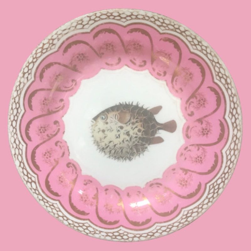 Puffer fish on antique pink plate