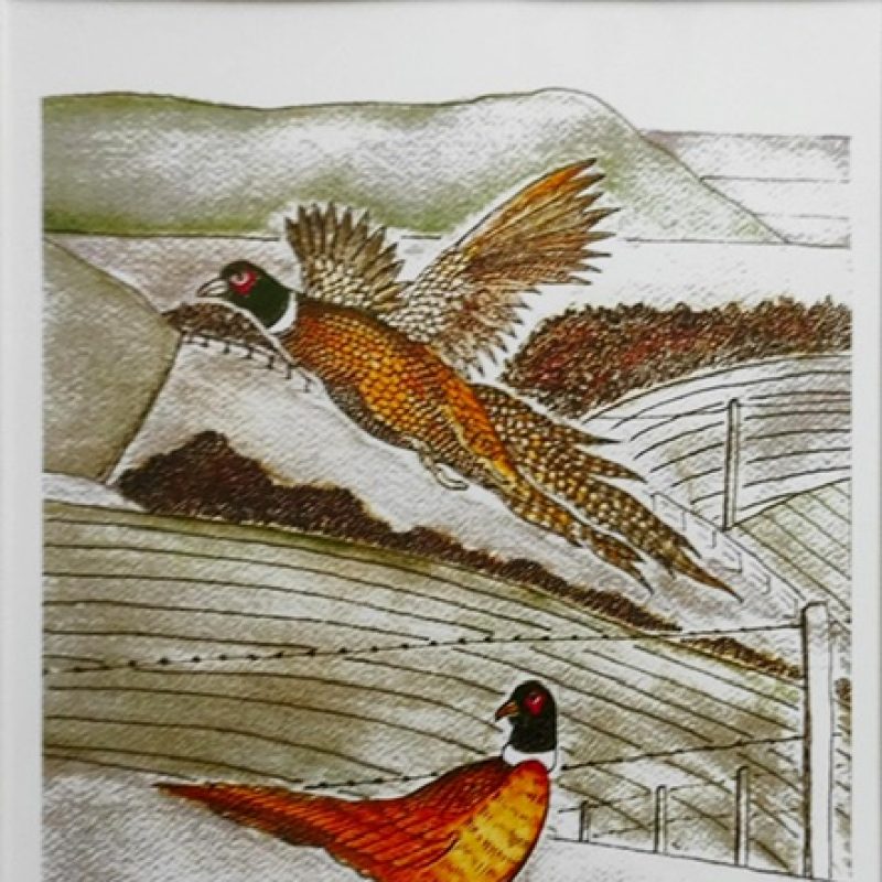  Two pheasants , one in the air with fields in background created by layers