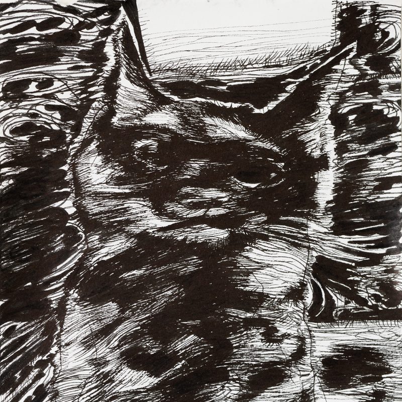 Dark silhouette of cat on dark background