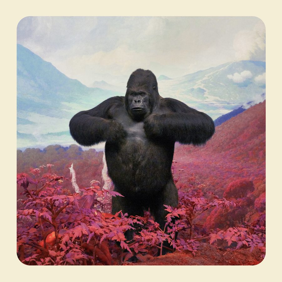 A gorilla in a mythical red mountain scene