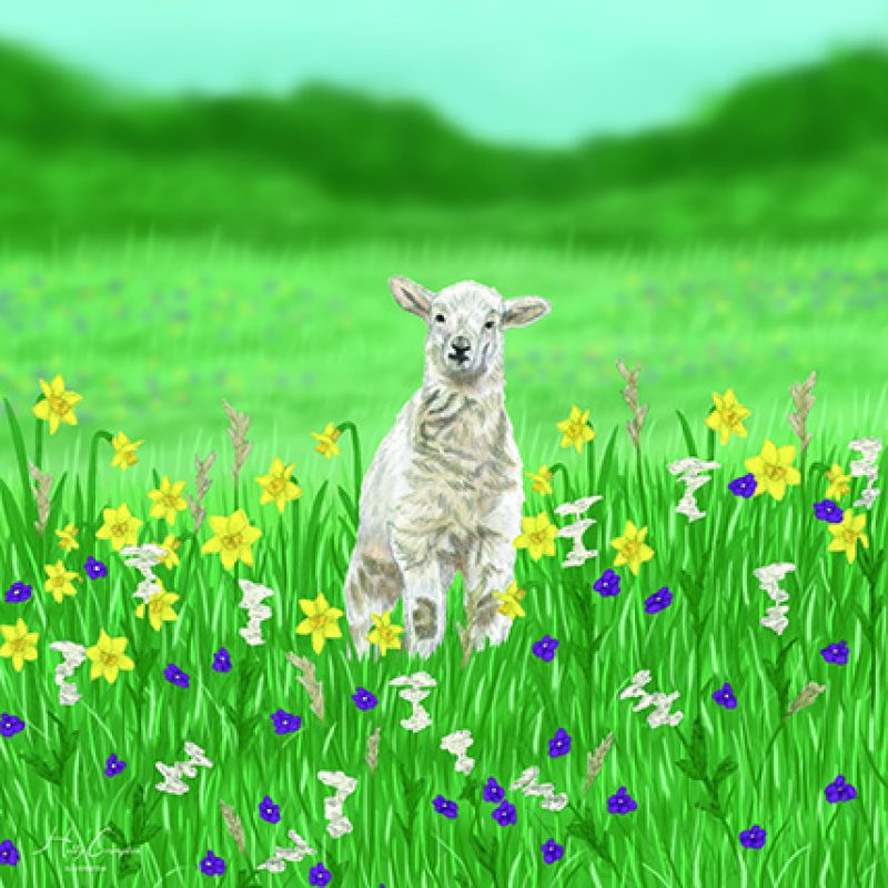 Spring Lamb, was inspired by the changing of the seasons. I love seeing new life emerge in both plant and animal forms. Watching the new born lambs play and be curious about the world around them, strongly influenced my depiction.