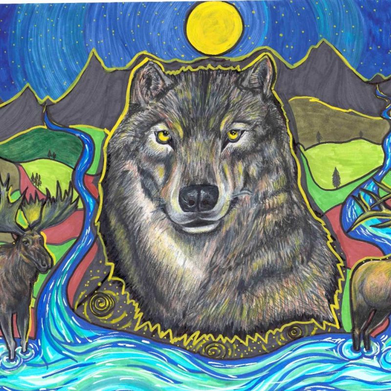 This piece depicts a portrait of a grey wolf, outlined in yellow in the centre under a full moon. The moon is painted in yellow with auras painted around it in light blue. The background consists of hills painted different shades of green and grey, outlined in yellow, and silhouettes of Aspen trees. A blue river flows through the hills at either side of the wolf, flowing into the main river, painted at the bottom of the page, with strokes of dark blue, light blue and white. There is a moose on the left and an elk on the right, standing in the river at either side of the wolf, standing in the distance. 