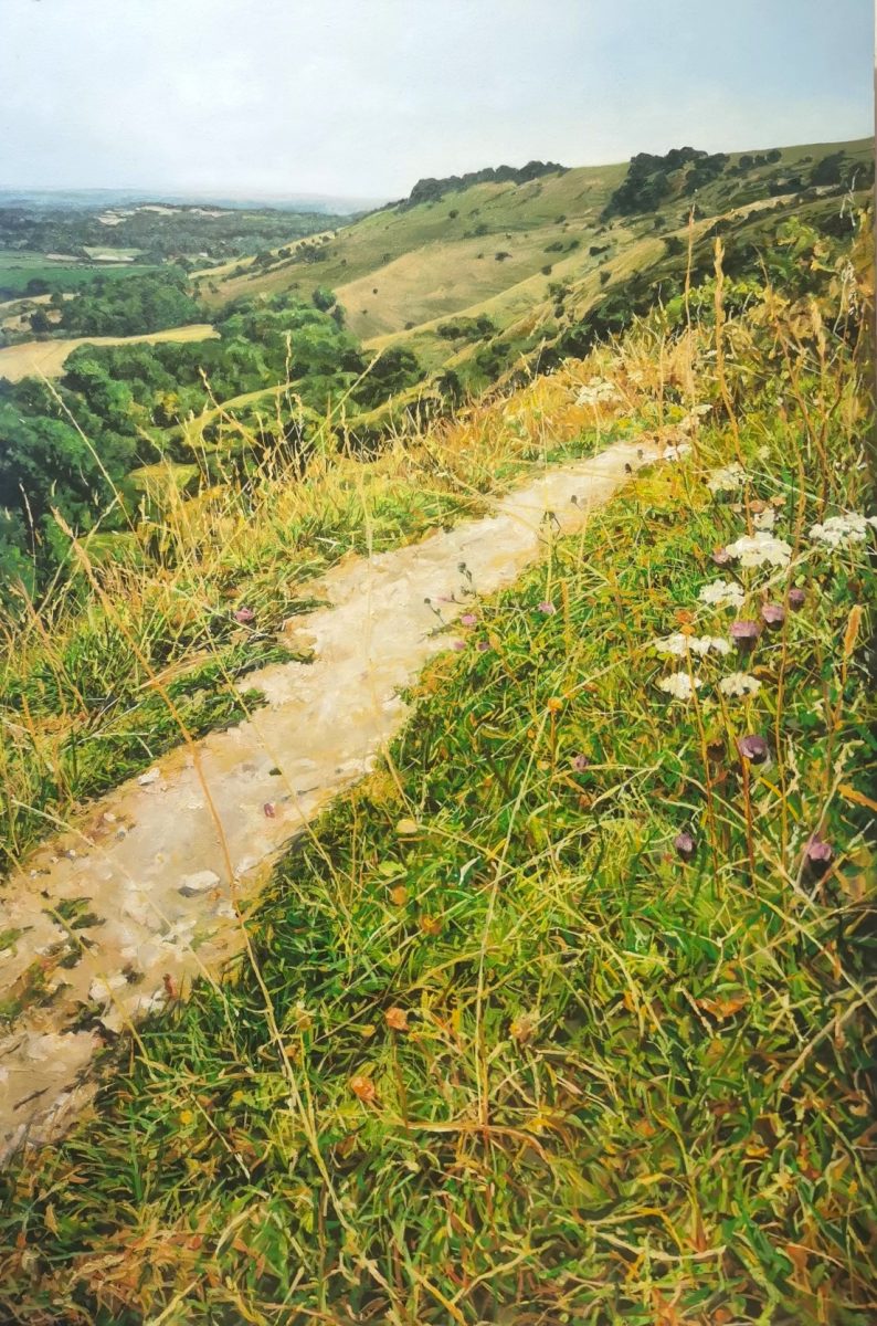  A white chalky path, leads people into the painting walking from Ditchling Beacon along the South Downs way with hills in the distance, and meadow flowers in the foreground. 