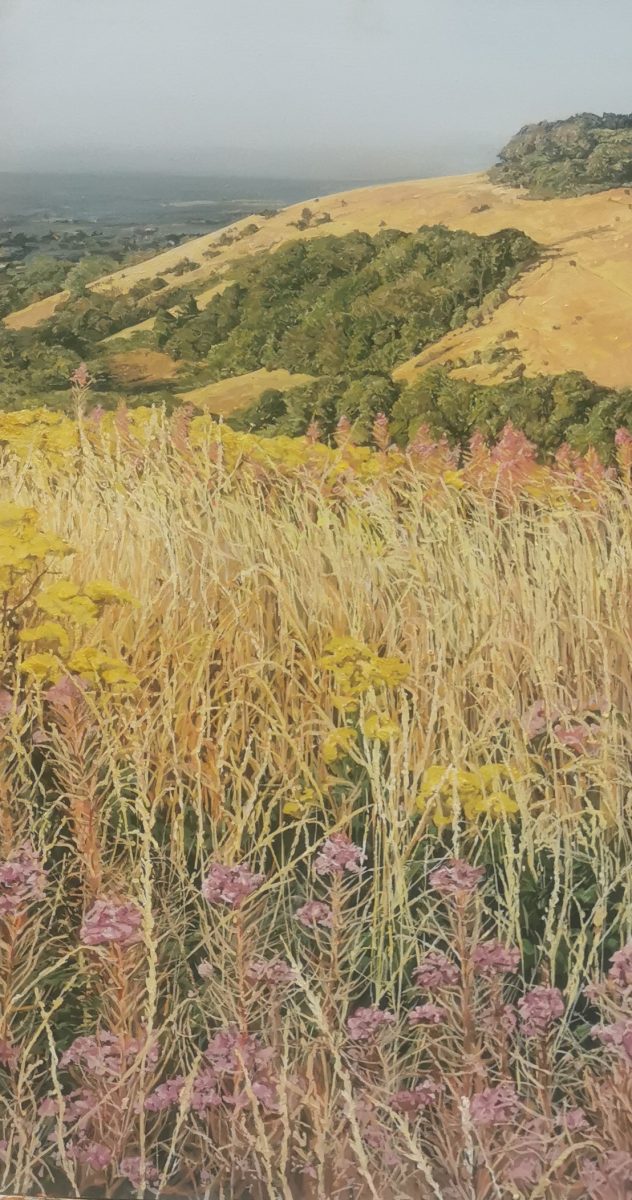 Tall swaying grasses and purple flower fill the foreground of this view, with Newtimber hill behind bathed in golden light
