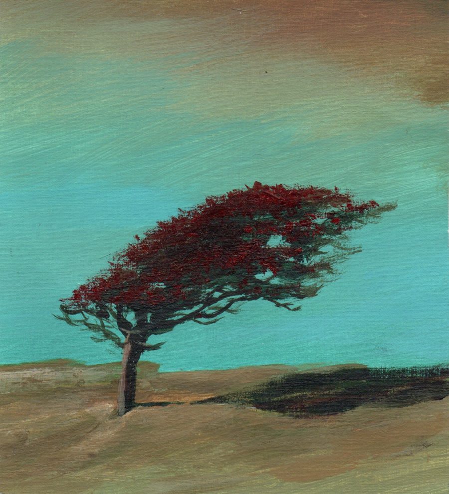Hawthorn tree against a turquoise sky painted in acrylic