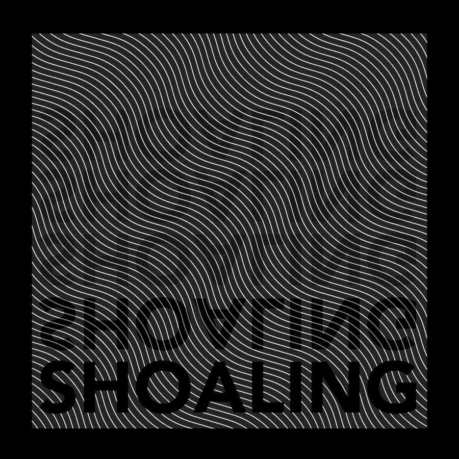 Black and white image of the word shoaling mirrored and fading into wavy white ground