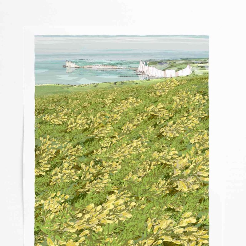 Gorse Bloom at Cuckmere Cottages  As the early days of spring approach, the delicate scent of gorse blossom fills the air, blanketing the South Downs National Park in a magnificent display of color. Our print captures a breathtaking view from the cliffs overlooking Cuckmere, showcasing the iconic Coastguard Cottages, South Gap, and Seaford Head. The focal point of this artwork is the blooming gorse, commanding attention over the sea, sky, and enchanting chalk cliffs depicted in this scene.  At the start of the year, I embarked on the journey of creating our latest print. It all began with a thoughtful curation process, sifting through my collection of countryside photographs captured during various walks. From there, I sketched out a loose composition concept, taking note of details like movement, subjects, tonality, and planes. This initial phase laid the groundwork for the meticulous craftsmanship involved in producing multiple ink base drawings. These drawings were then scanned and digitally enhanced with color, refining my original concept into a captivating digital collage.