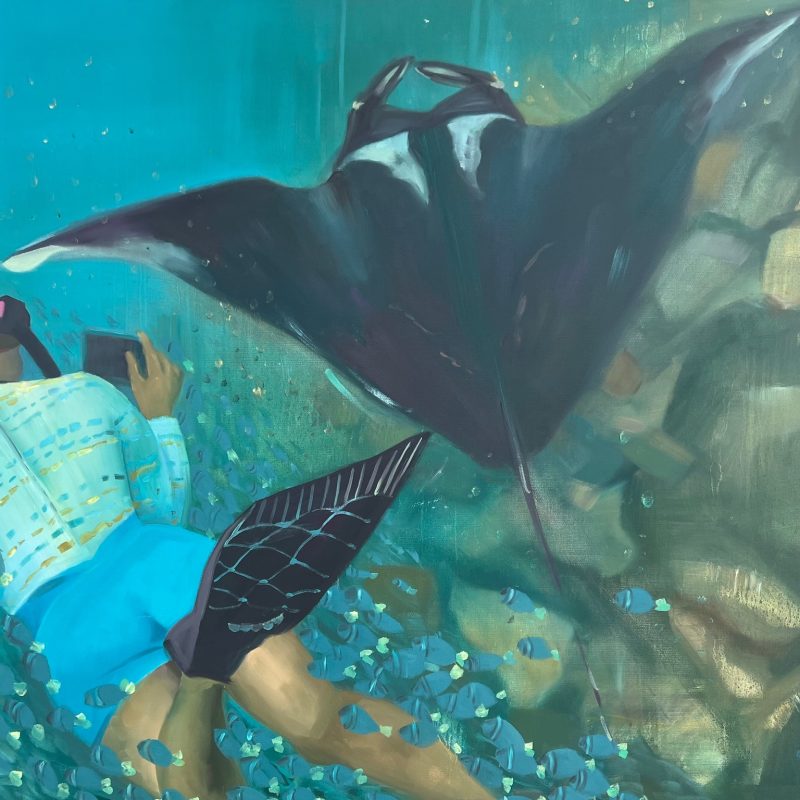Carolina, a Galapagos Marine Reserve diver, films a 3m Manta Ray on Swimtrek adventure.