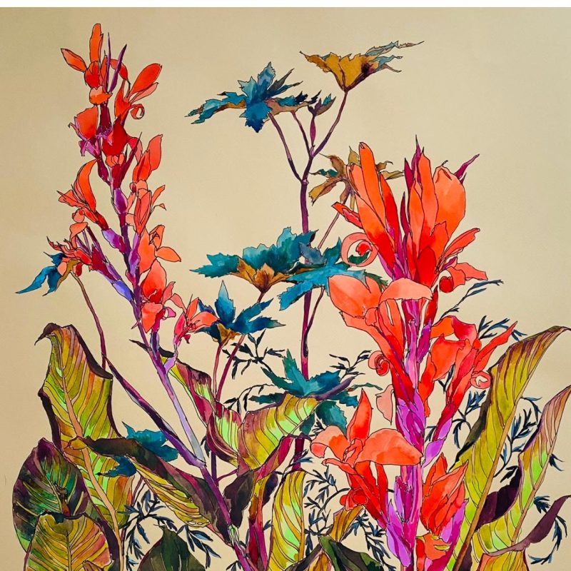 Botanical drawing and painting of colourful flowers on coloured paper