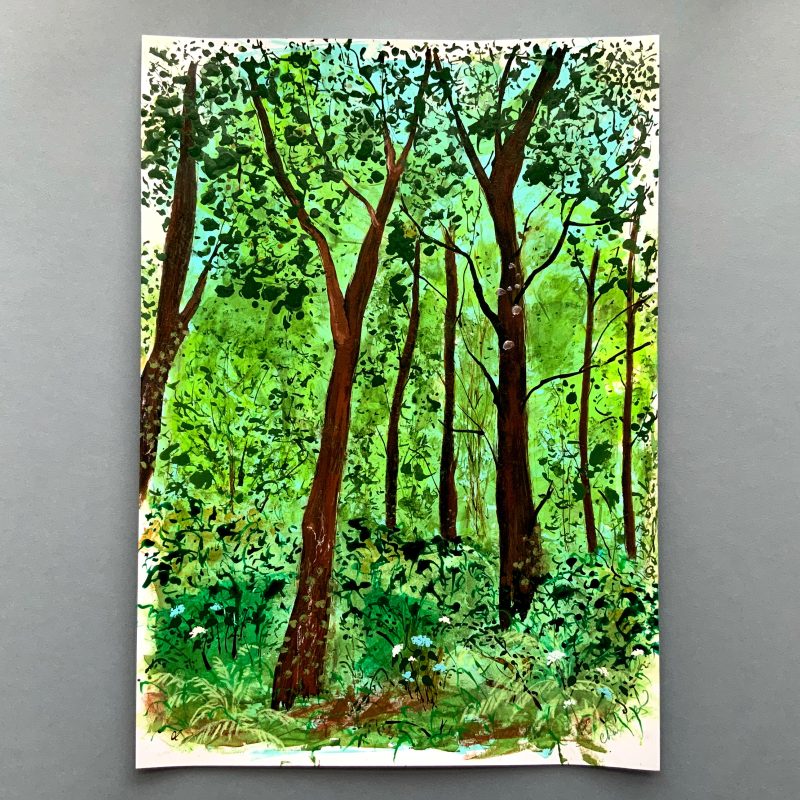 Painting on paper of woodland trees with foliage and wildflowers in the foreground