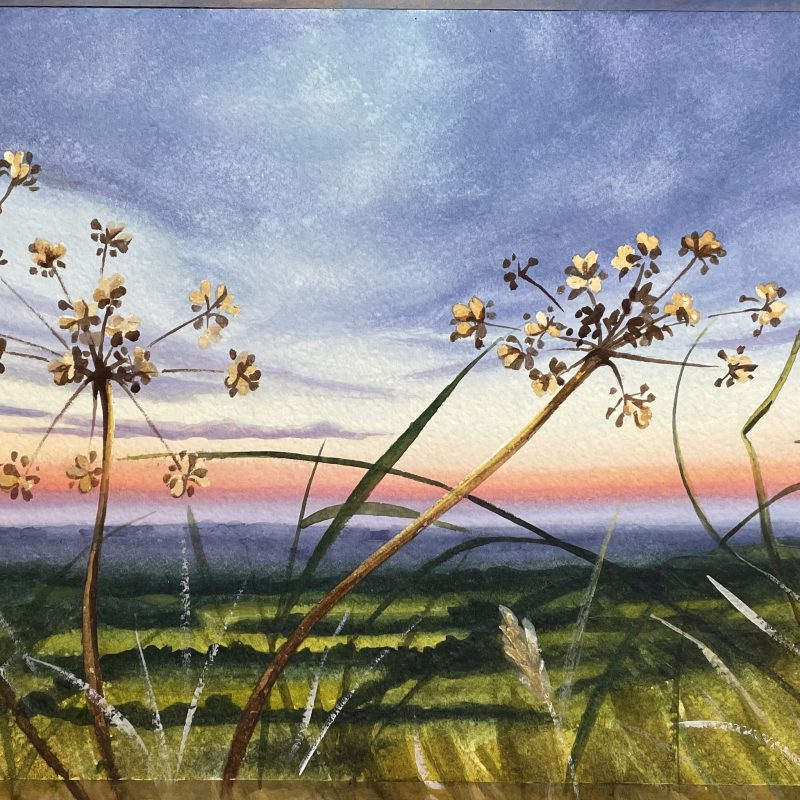 watercolour of grasses against sunset 
