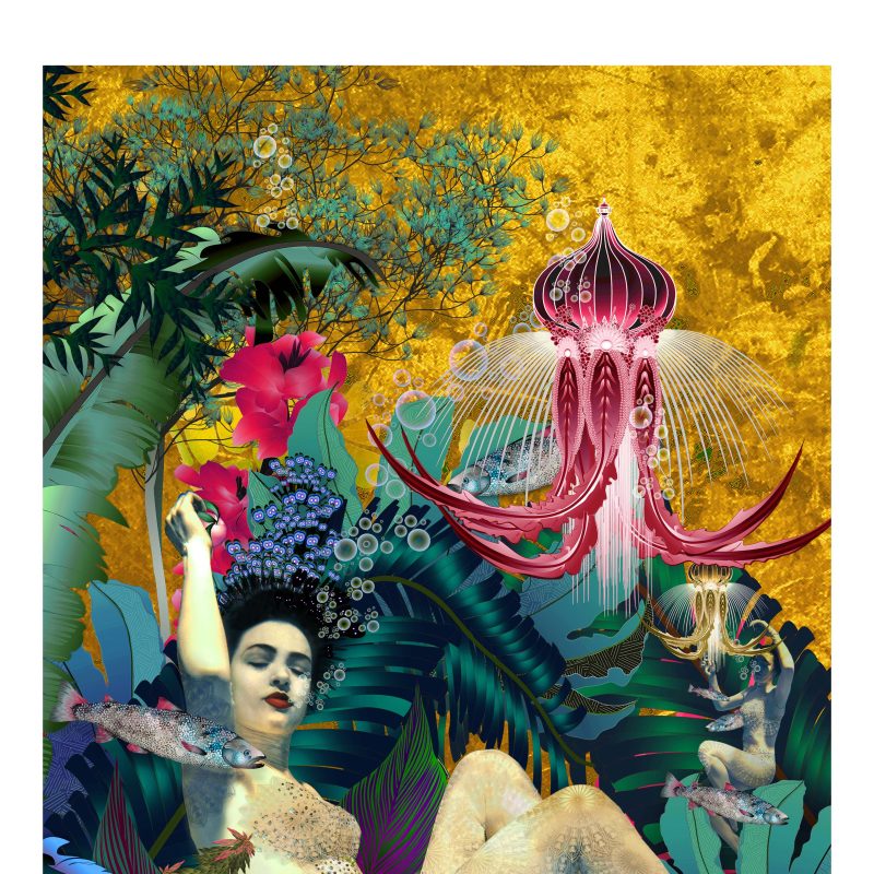 Siren cover artwork for open house brochure